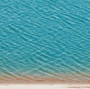 Meet your Posher, Ernestine